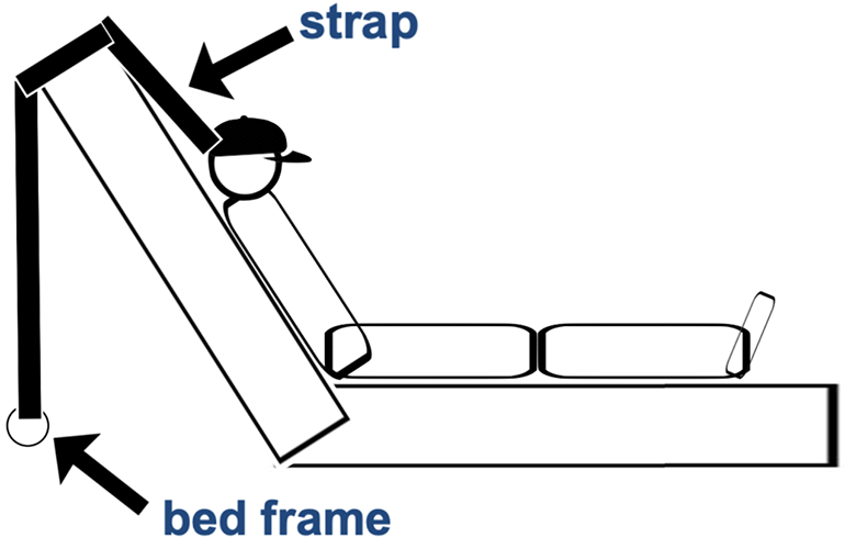 hospital bed and head support