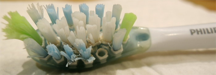 cluster of bristles