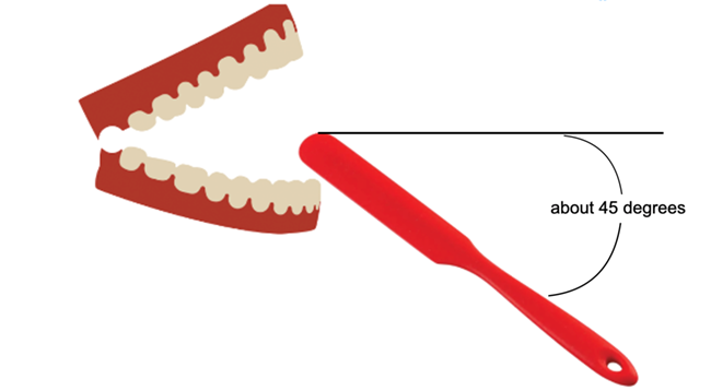 Biting Position of Spatula 650