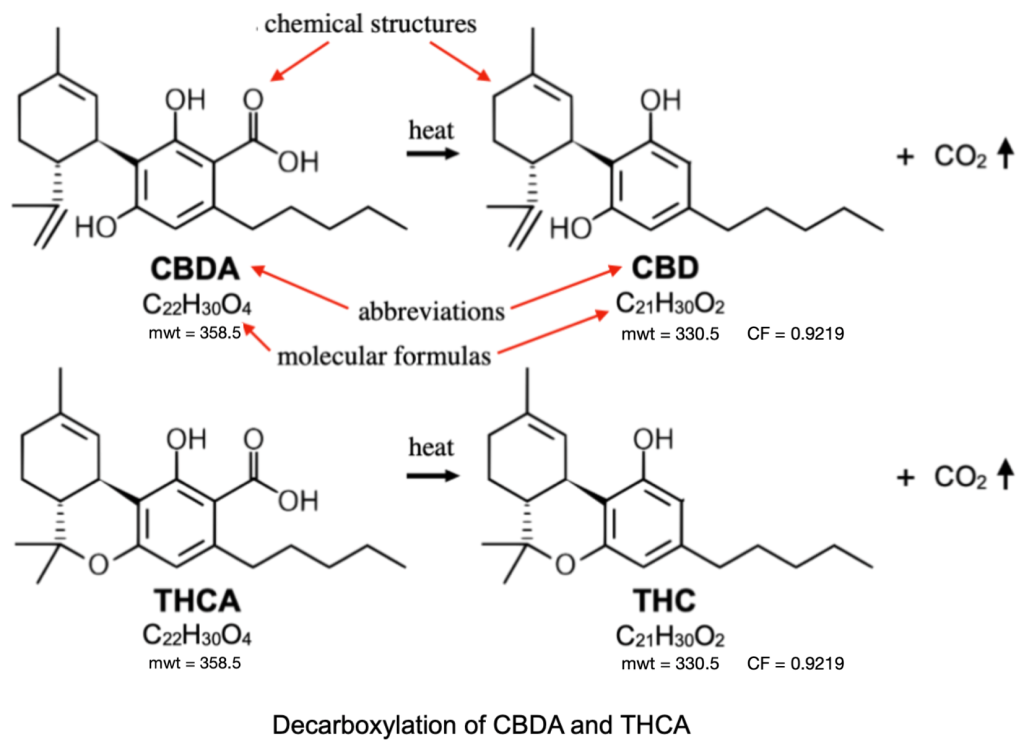 Weed, THC, and CBD - image10
