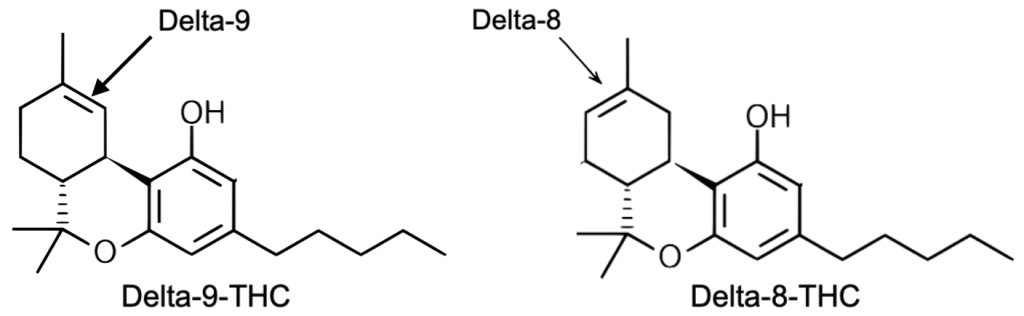 Weed, THC, and CBD - image11