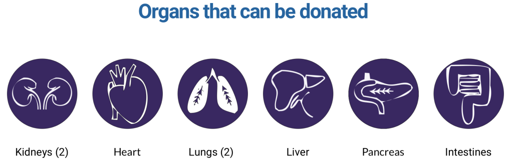 Organ and Brain Tissue Donations - Image 1