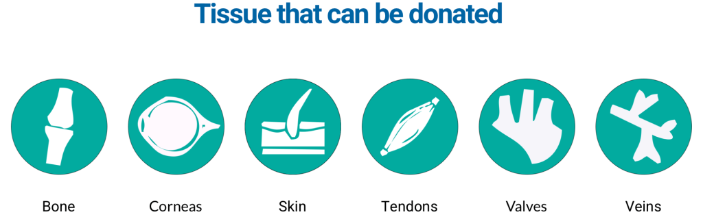 Organ and Brain Tissue Donations - Image 2
